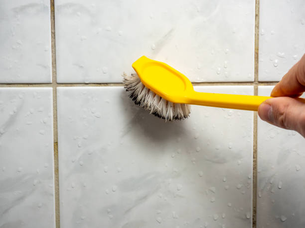 Reliable Homewood, AL Mold Removal Solutions