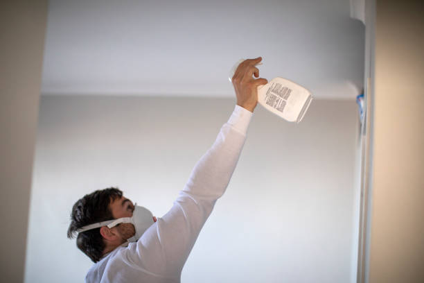 Best Home Mold Removal  in Homewood, AL
