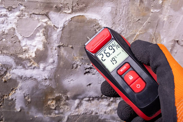 Best Toxic Mold Removal  in Homewood, AL